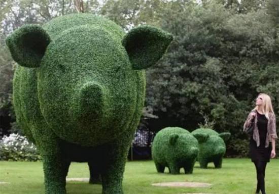 漂亮的园艺 大神级园艺作品赏析-美得惊心动魄