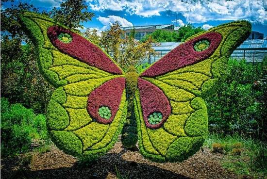 漂亮的园艺 大神级园艺作品赏析-美得惊心动魄