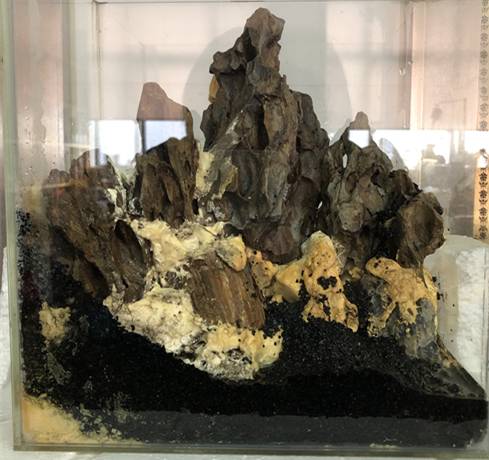 1571744298902419.jpg 养点不一样的盆栽:雨林缸造景方法【图】