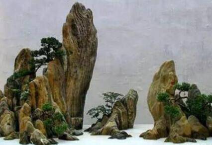 山水盆景怎么养护好