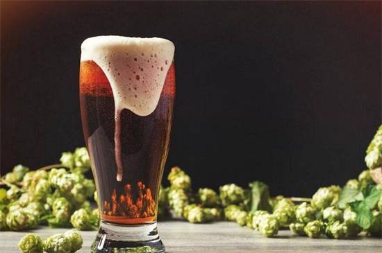 啤酒花长什么样【图】 酿酒必备原材料_如何养好啤酒花长什么样【