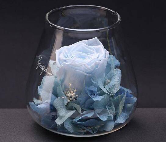 厄瓜多尔玫瑰品种大全_如何养好厄瓜多尔玫瑰品种大全的养殖方法