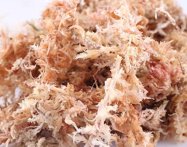 买回来的干苔藓正确用法和注意事项