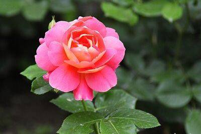 �����¼�����ò�������Ҫע��ʲô