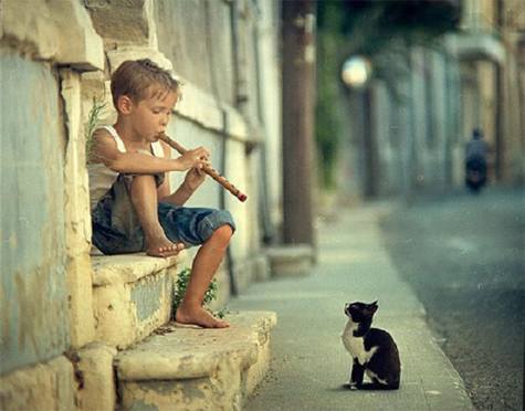 Instagram完全新手指南