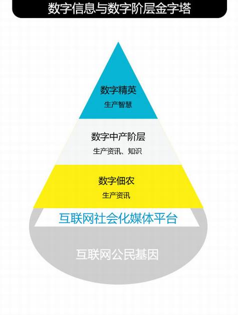 数字信息与数字阶层金字塔 Web2.0时代数字阶层的形成与转换