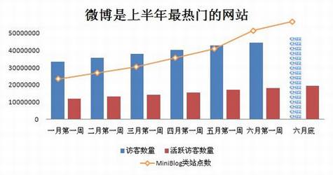 2010年上半年Web2.0行业报告