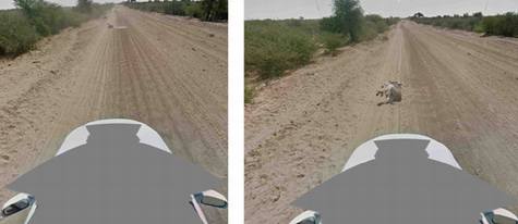 谷歌澄清:街景车没有撞死驴