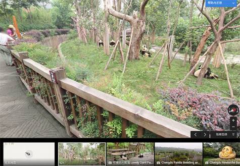 通过谷歌街景地图看成都大熊猫