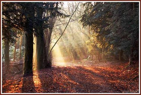 Panoramio四月最佳照片