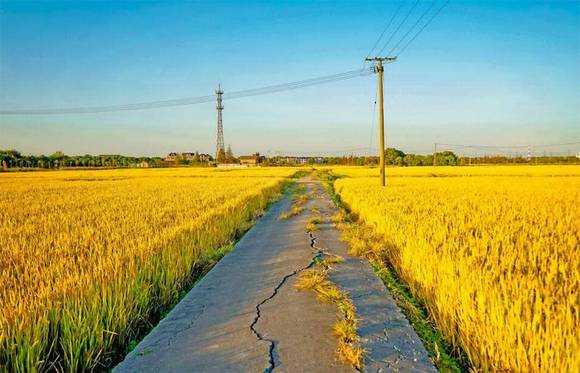 ��������ҥ��һ��������������������