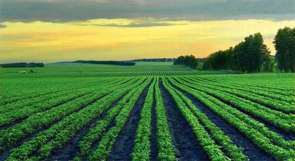 ��������ҥ��һ��������������������