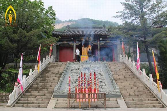 �����������ɽҩ������