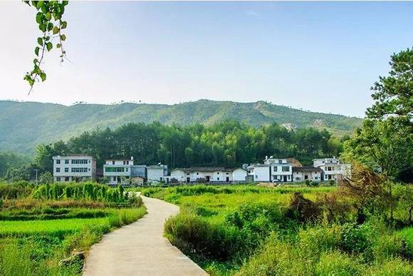 �й���ˮ�Ļ���һ�壺�����˹������Ŵ�