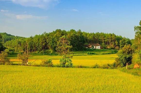 �й���ˮ�Ļ���һ�壺�����˹������Ŵ�