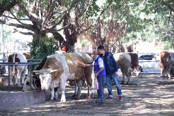 ��ݸ�������ţ��