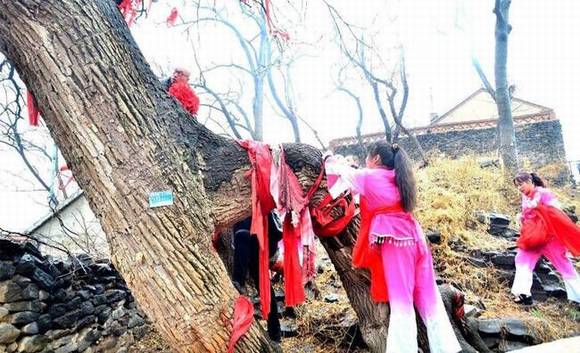 ɽ���������ף����﹵���ݹŻ�