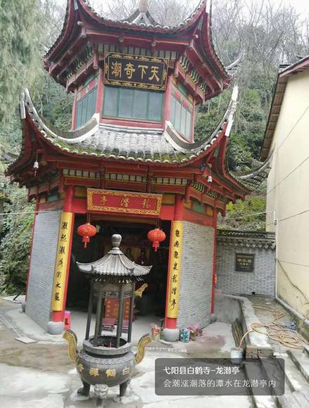 ��������߮���ذ׺���