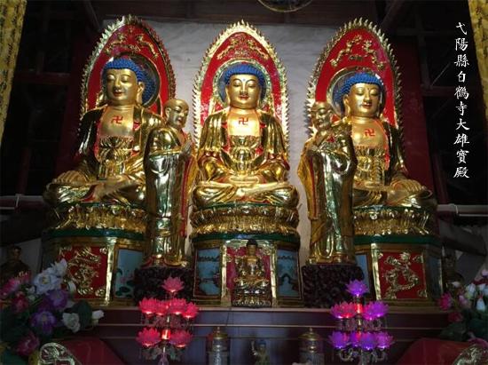 ��������߮���ذ׺���