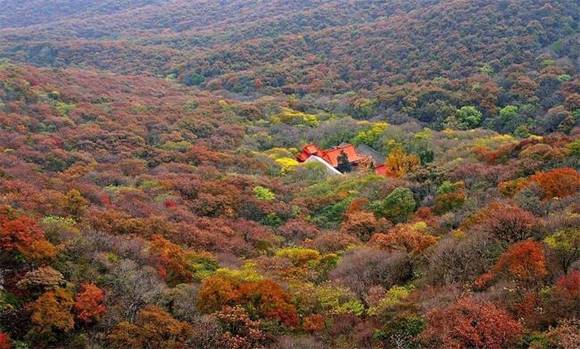 ������������ɩ�Ӵ�˵