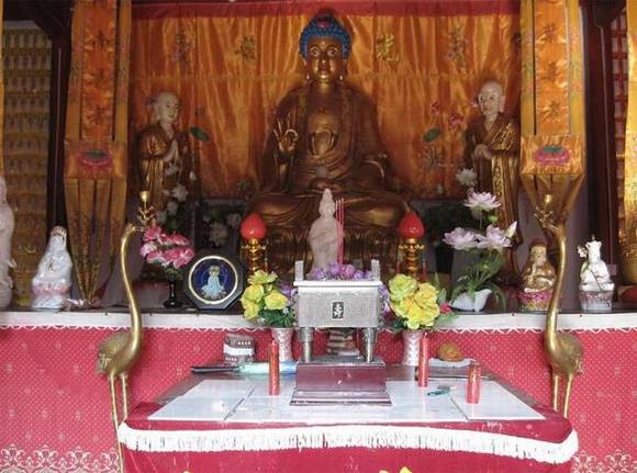 �������İ�����