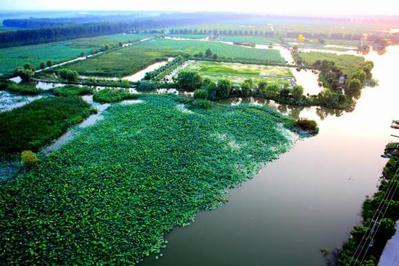 ��Ӧ������ǧ�����