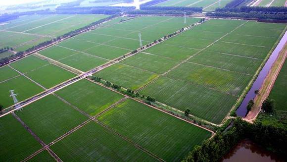 ��Ӧ������ǧ�����