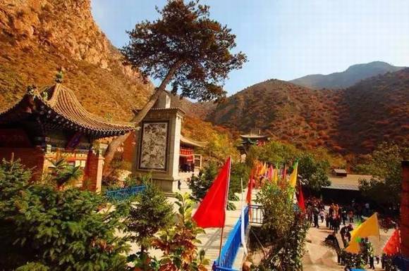 �������ɽ�����ﴫ��