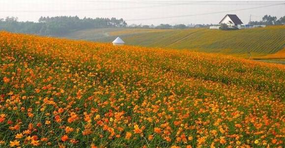 �Ĵ��������