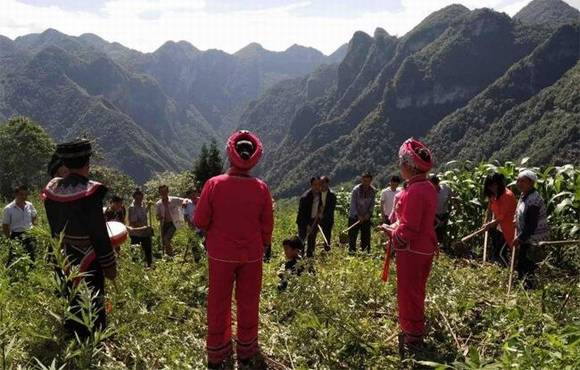 ��������޶���������