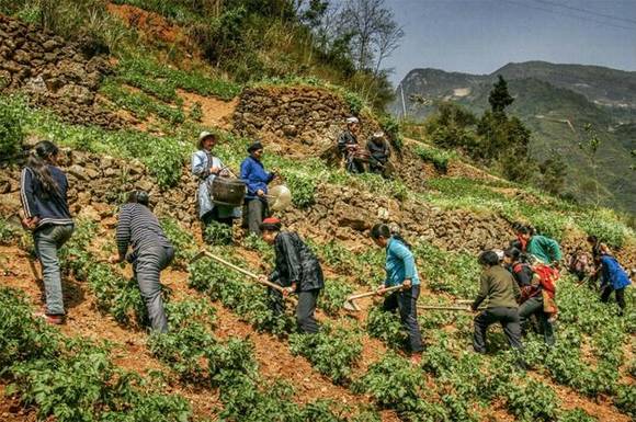 ��������޶���������