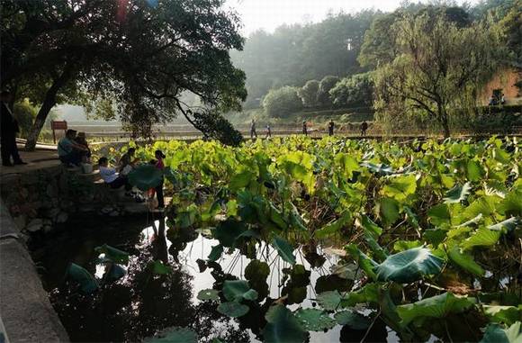 ë����ϯ��ɽ�ʾ�