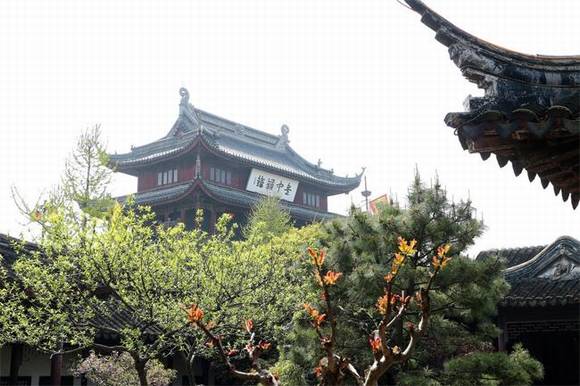 ��������ɽ������ ������׷����ѹ�