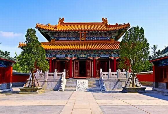 ɽ����ī������������