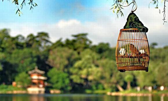 �ʼ�ʮ���棺��������������