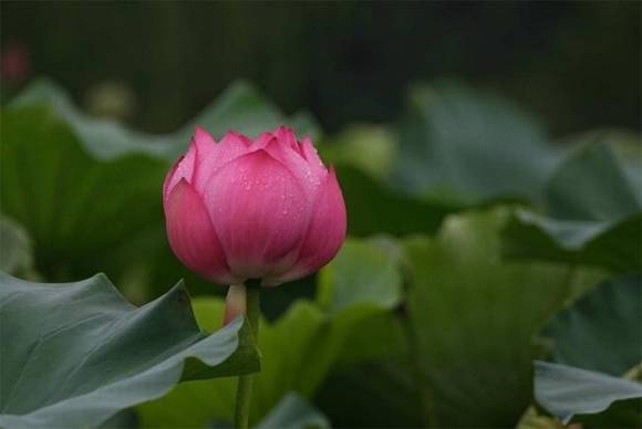 ��Ȥ�����ͺ���