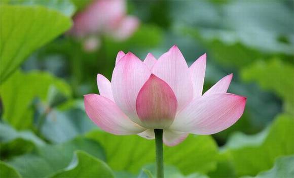 ��Ȥ�����ͺ���