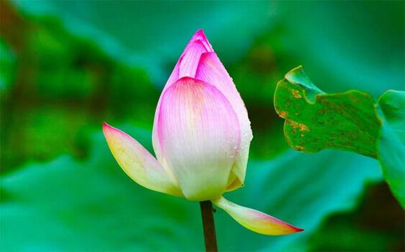 ��Ȥ�����ͺ���