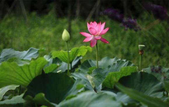 ��Ȥ�����ͺ���