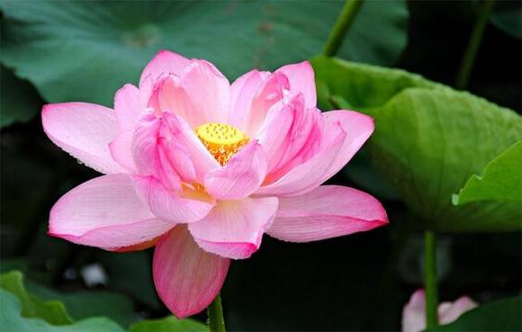 ��Ȥ�����ͺ���