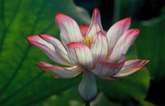 ��Ȥ�����ͺ���