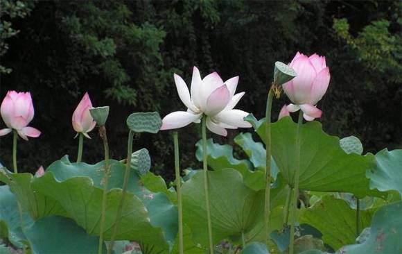 ��Ȥ�����ͺ���