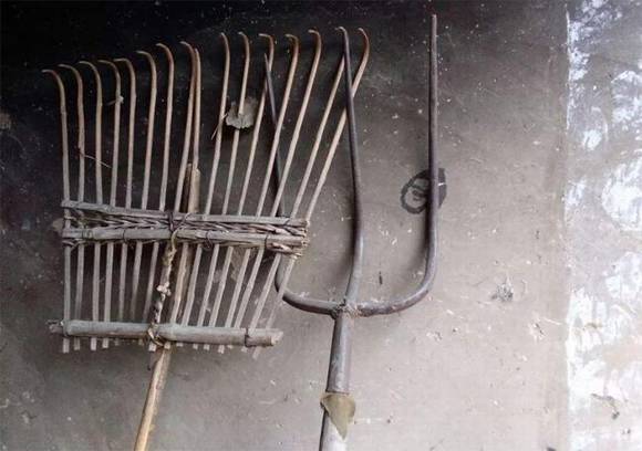 ũ��ʱ��������