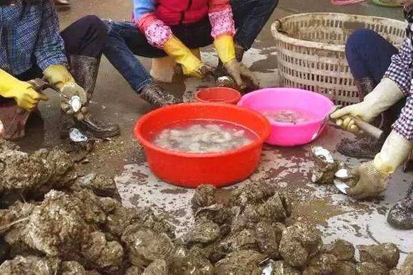 ����ɳ���������ϰ��