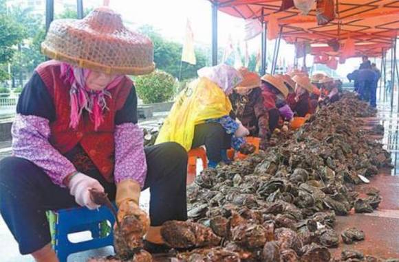 ����ɳ���������ϰ��