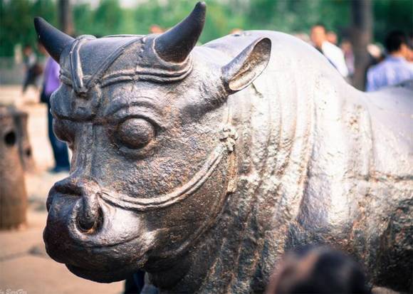 �ƺ���Ӵ���ţ