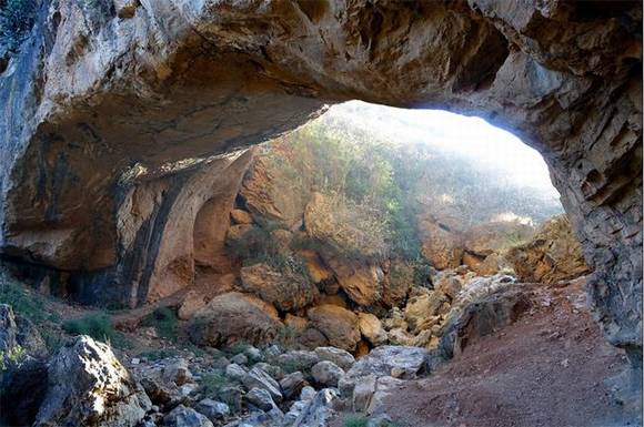 �����ֶ�������