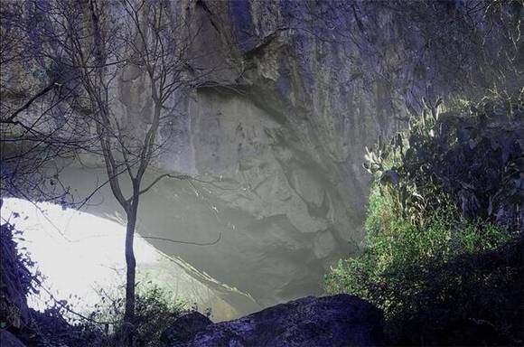 �����ֶ�������