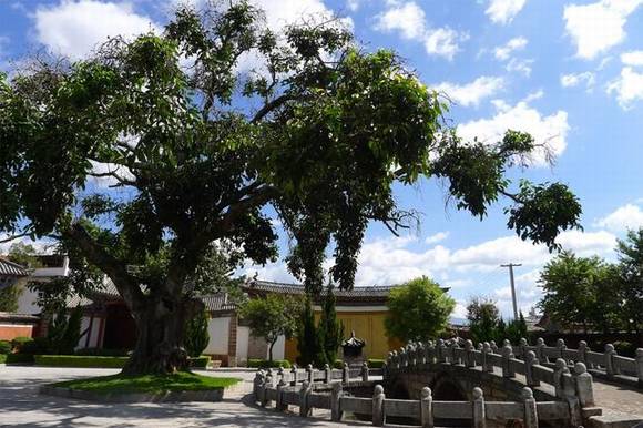 ���ϴ�����گ������