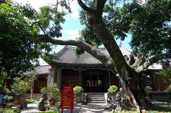 ���ϴ�����گ������